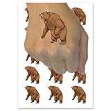 Angry Grizzly Bear Standing and Roaring Temporary Tattoo Water Resistant Fake Body Art Set Collection - 15 2' Tattoos (1 Sheet)