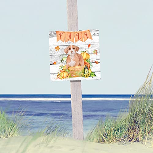 Plaque bois automne chien Pointer pour sublimer votre intérieur - 6