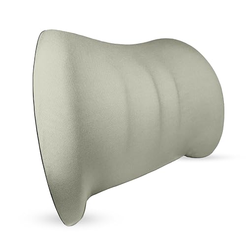 Syke Memory Foam Lumbar Support Pillow for Back Comfort - Ergonomic Design for Office Chairs, Car Seats, and More - Relieve Lower Back Pain with Firm and Breathable Cushion - Ideal Back Support(Beige)