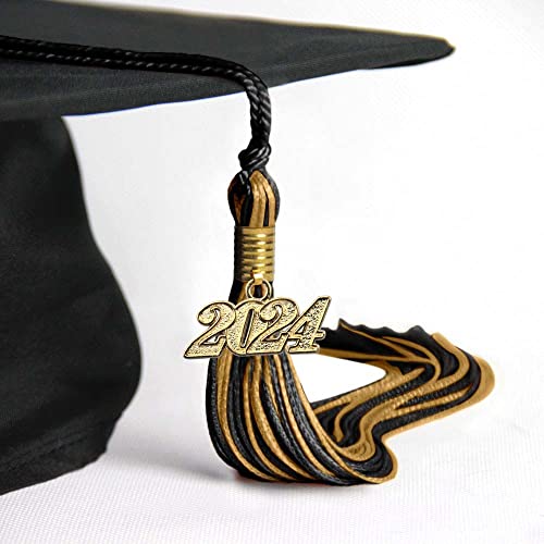 View 5