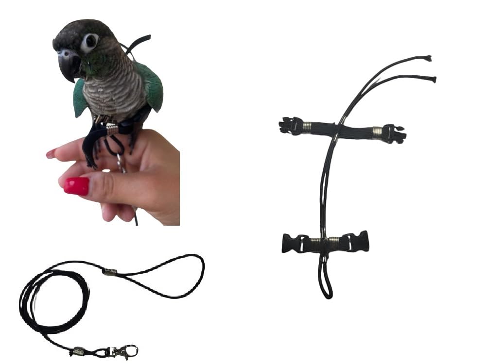 Corde Pirrhura 3mm élastique pour renforcer le lien unique avec votre oiseau