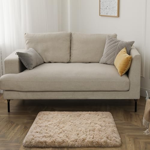 HOMORE Small Rugs for Bedroom 2x3 Feet Beige Rug for Bedroom Bedside Soft Fluffy Area Rugs for Desk Indoor Entrance Door Mat, Small Runner Rugs and Carpets for Dorm Nursery, Light Tan