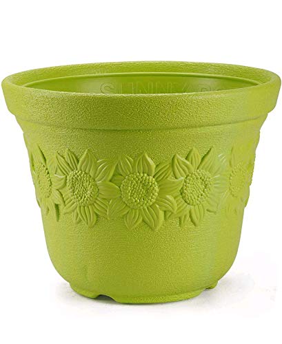 GARDENS NEED 100 Percent Virgin Plastic Sunny -12" Pot | Set of 3 Planter, (31cm x 31cm x 24cm, Lemon Green) (B083MMKH9B) Amazon Price History, Amazon Price Tracker