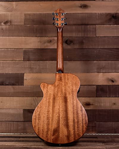 Ibanez Aeg220 6-String Acoustic-Electric Guitar (Right-Hand, Natural Low Gloss) #TOP3