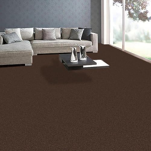 Image of FC Texture-2-C.Brown Carpet Luxurious Feel Floring for Residential, Commercial Office & Home and Sound Absorbing Durable Easy Clean Low Maintenance for High Traffic Areas