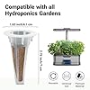 Herb & Salad Seed Pods for All Hydroponics Growing Systems, 8 Pods with 600+ Seeds of Basil, Spinach, Romaine, Red Cherry Tomato, Italian Parsley and Bell Pepper #5