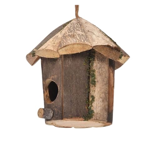 Nid d'oiseau en bois d'extérieur pour colibris et jardin paysager
