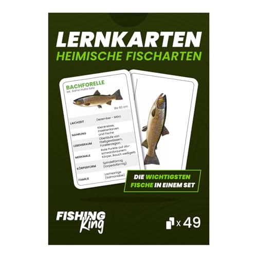 Fishing-King Fisch-Lernkarten | 49 wichtigsten, heimischen Fischarten kennenlernen | Perfekt für Fischerprüfung, Angler oder als Geschenk