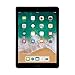 Apple iPad 9.7in 6th Generation WiFi + Cellular (128GB, Space Gray) (Renewed)
