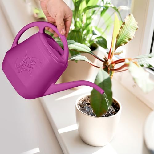 Image of Watering Can - for Home Plant Garden - 1 /2 Gallon - Rose Red