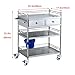 sdneNest Lab Utility Cart, 440 Lbs Weight Capacity Rolling Lab Cart, 2 Drawers Rolling Lab Cart Serving Cart with 360° Casters for Laboratory Hospital Dental Office Sa,Triple Layer-66 * 44 * 86cm