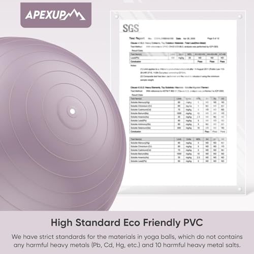 Image of APEXUP Yoga Ball, 660 lbs Anti-Burst Exercise Ball with Pump, 5 Sizes | Anti-Burst, Anti-Slip, SGS Certified, Strengthens Core, Improves Balance & Posture, Boosts Flexibility & Stability