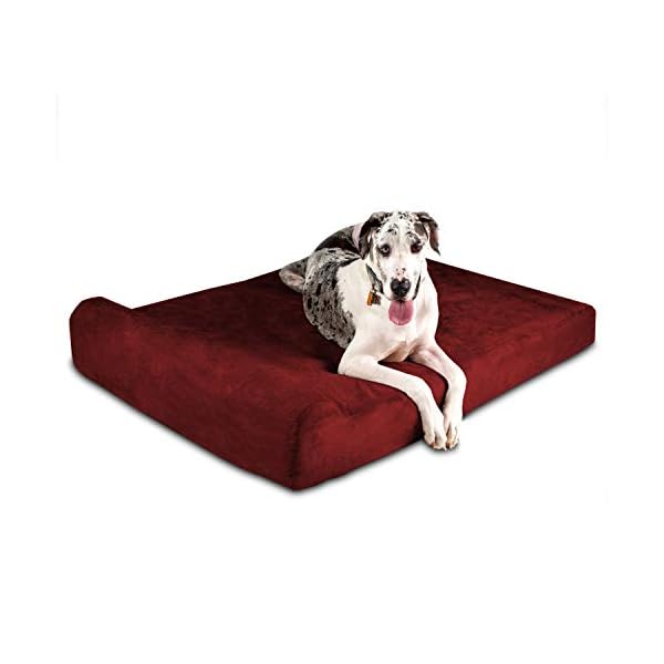 great dane dog beds