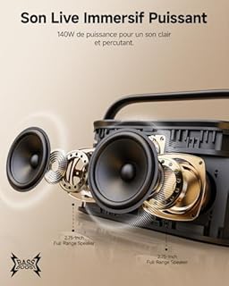 Ikarao Karaoké Adulte - Enceinte Pro avec Écran et 2 Micros sans Fil - 140W - Compatible Wi-FI, HDMI et TV - Idéal pour Fête - Abonnement Karafun Inclus（Shell S2）