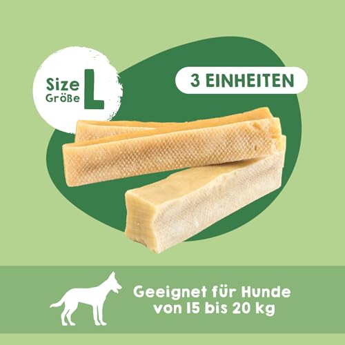 MAIKAI Packung 3 Kauknochen für Hunde L – Käse aus Yakmilch – Hartkäse Kauartikel für Zahnpflege – Langlebiger Kaustab