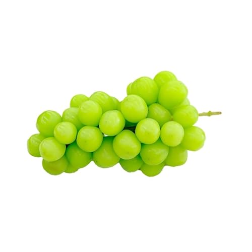 [8月下旬より順次発送]シャインマスカット 1房 650g以上 山梨県産 産地直送 ぶどう 2026年発送分 先行予約