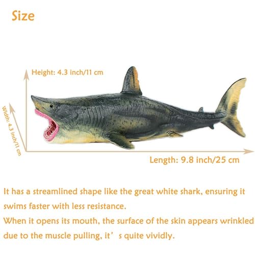 Image of Realistic Big Size Ocean Shark Animal Toy for Kids 3+| Attractive Underwater Fish Animals Toys Action Figure for Boys and Girls Birthday Gift for Children Education & Table Top Decoration Item