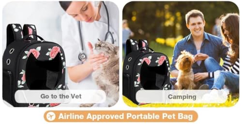 Image of Risan Pets Pet Backpack Transparent Cat & Small Dog Puppy Kitty Shihtzu Carriers for Breathable Airline Travel Approved Air Ventilation Backpack Size 16 x 13 x 9 inch (Mighty Black)