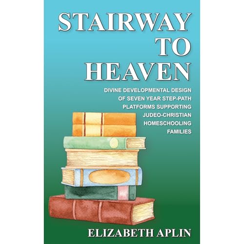 Stairway to Heaven Audiolibro Por Elizabeth Aplin arte de portada