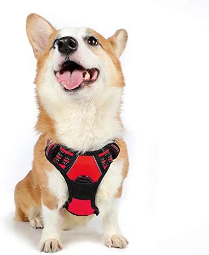 rabbitgoo Dog Harness Medium No Pull Pet Harness with 2 Leash Clips, Adjustable Soft Padded Pet Vest Harness, Reflective No-Choke with Easy Control Handle for Training or Walking, Red, M