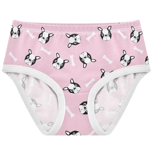 Girls' Cotton Underwear Tagless Brief Toddler Panties Hipster for 2-8 Years
