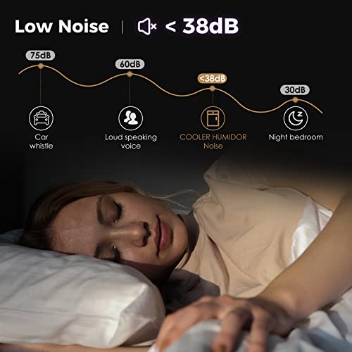 Electronic Cooler Cabinet 54-73°F Temperature Regulation With Digital Hygrometer Shelves And Drawer Gift For Men (25L) #TOP3