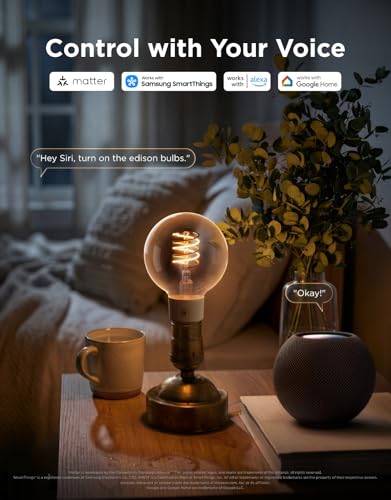 Image of Govee Edison Bulbs, G25 Smart Vintage Light Bulbs, RGBWW, E26 Base 4 Pack | RGBWW and Tunable White, Compatible with Matter, Alexa & Google Assistant, Vanity light bulb for Living Room Kitchen