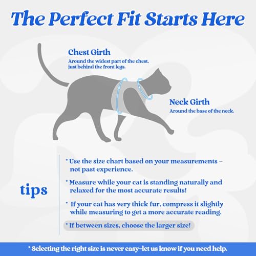 Image of rabbitgoo Cat Harness and Leash Set, Step-in Soft Vest, Blue | Escape Proof, Lightweight, Easy-on & Adjustable, Hook & Loop with Buckle, Reflective, for Kittens & Small Cats Walks, S