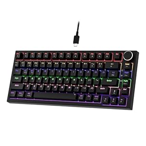 Newmen GM326 Mechanische Tastatur mit Kabel,Gaming Tastatur 75% Prozent,TKL Hot Swap LED Beleuchtung USB C Mini Mechanische Tastatur mit Knopf,für PC/Win/Mac,QWERTY Layout,Schwarz,Rote Schalter