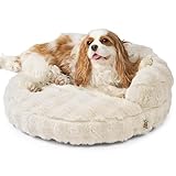 EHEYCIGA Small Dog Bed and Cat Couch for Puppy and Kitten - Fluffy Faux Rabbit Fur Pet Sofa with Washable Removable Cover, Waterproof and Non-Slip, 23 Inch Cream