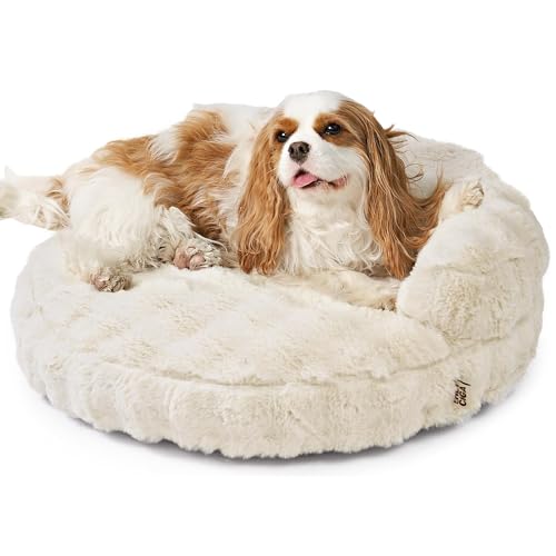 EHEYCIGA Small Dog Bed and Cat Couch for Puppy and Kitten - Fluffy Faux Rabbit Fur Pet Sofa with Washable Removable Cover, Waterproof and Non-Slip, 23 Inch Cream