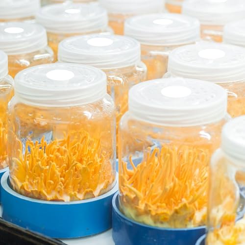 Image of CHGCRAFT 144Pcs Synthetic Filter Paper Stickers 20mm 0.22 m Filter Patch Sticker Disc Adhesive Filter Patch Sticker Wide Mouth Filter Paper for Mushroom Cultivation Jar Lids Mason Jars