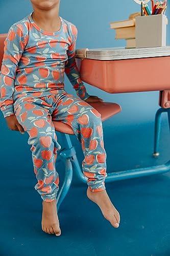 Copper Pearl Two Piece Long Sleeve Toddler Pajamas PJ Sets for Boys and Girls - Adorable Pattern Pajamas, Breathable Fabric to Keep Cool While Sleeping, Sizes 12 Months to 5T - Teacher4