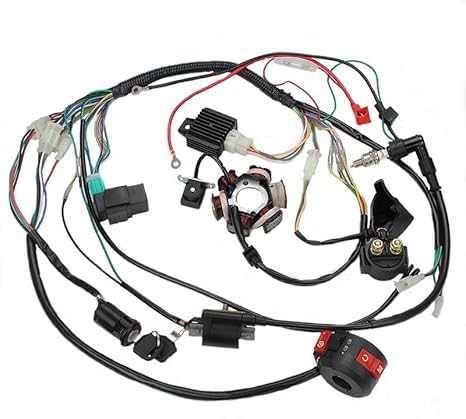 Complete Electrics Wiring Harness 6 Pole Stator Coil CDI Wire Harness Solenoid Relay Spark Plug for 4 Stroke ATV 50cc 70cc 90cc 110cc 125cc Pit Quad Dirt Bike Buggy Go Kart