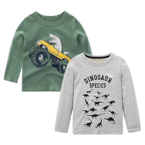 Boys Cotton Long Sleeve T-Shirts T Rex Dinosaur Shirt Graphic Tees