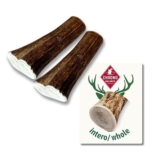 ChronoBalance-XS Corno di Cervo per Cani, Confezione da 2, 100% Naturale, Pezzi Interi, Cura Dentale, Giocattolo per Cani, Ricco di Minerali e Nutrienti, Lunga Durata