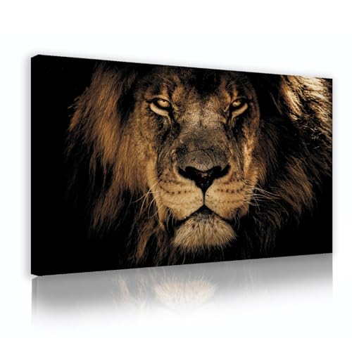 Lion toile impression murale tableau sauvage animal photographie affiche encadrée