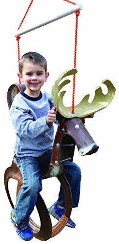 Big Buck Tire Swing