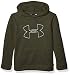 Under Armour Little Boys' Big Logo Hoodie