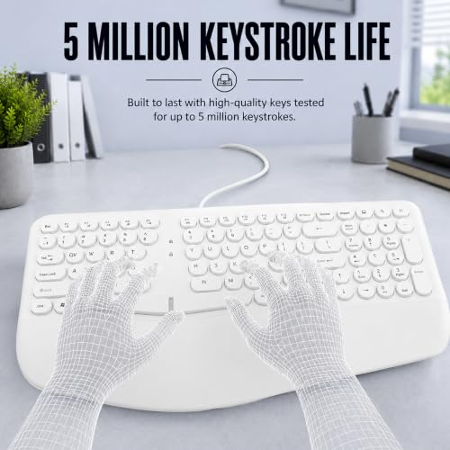 Image of ANT Master 70 Wired USB Keyboard, Full-Size 101-Key Computer Keyboard with FN + 12 Multimedia Shortcut Keys, Smooth Rubber Dome Keys, Anti-Splash Design, 5 Million Keystrokes, Windows & Linux - White