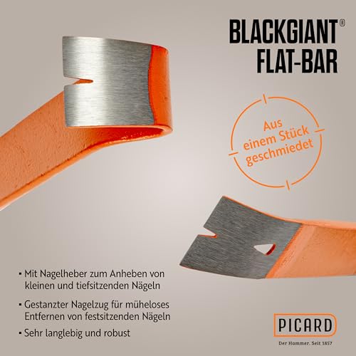 PICARD BlackGiant Nageleisen Twin Set Nr. 46X/46Y | Präzisionsarbeit für Handwerker | Profi Qualität für Bau Renovierung Reparatur | Länge 175mm & 250mm | Made in Germany seit 1857