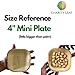 Charity Leaf Disposable Palm Leaf 4" Mini Appetizer Square Plates (200 pieces) Bamboo Like Serving Platters, Disposable Boards, Eco-Friendly Dinnerware For Weddings, Catering, Events 2