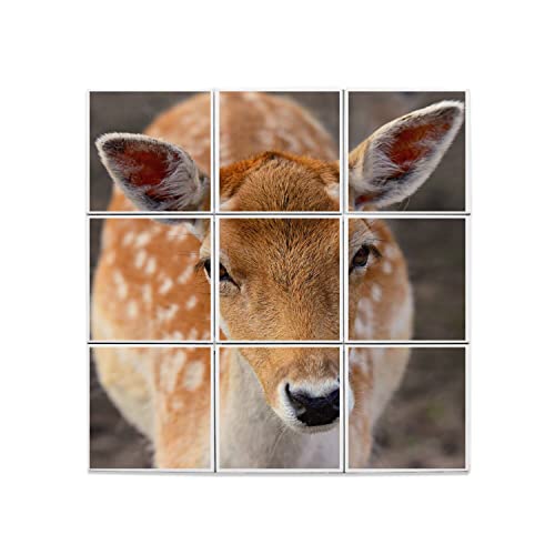 Carreaux Céramique Décoratif Biche | Personnalisez un Mur Blanc Fresque Cerf 60x60