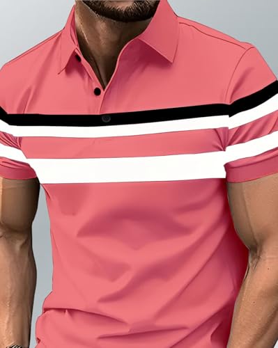 Image of AUSK Men Polo Tshirt with Half Sleeve Regular Fit