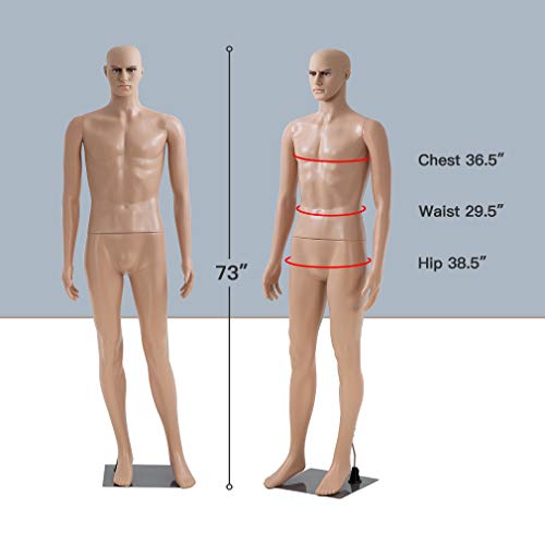 Fdw MQ Mannequin Dress Form Sewing Dress Model Full Body Male Adjustable Manikin 73 Inch Mannequin Stand Realistic Mannequin Display Head Dress Mannequin Clothing Fashion Show Form Metal Base Stand thumb #2