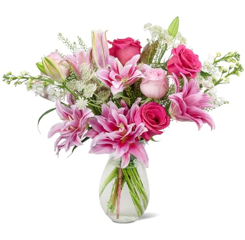 Mother's Day Gift, Colour Republic Fresh Cut Premium Ecuadorian Pink Roses and Pink Rose Lilies, 16 Fresh Flowers with Vase