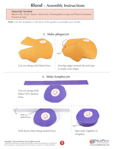 Image of NewPath Blood 3-D Paper Model Making Kit - Individual Student Edition (24-7780)