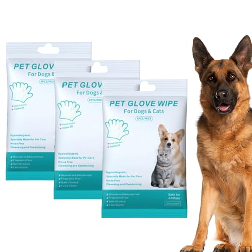 ybgpO[uEFbgeBbV Lp,pLeBbV 3Zbg | ̃eiX  sp q qL z[PA