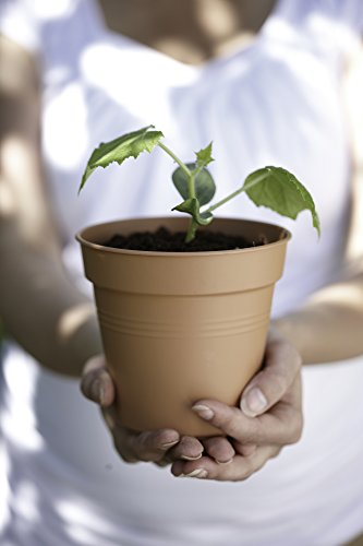 Elho Green Basics-Vaso di Coltura, Beige (Sable)