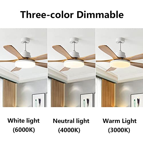 Ventilateur de plafond avec éclairage LED et télécommande à 3 vitesses - 6